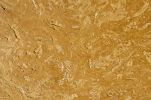 Flowery Gold Sandstone Rough