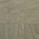 Raj Green Sandstone