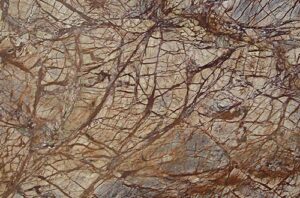 Rainforest Brown Marble