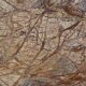 Rainforest Brown Marble