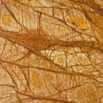Rainforest Gold Marble