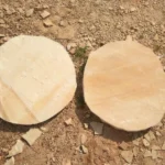 Desert-Mint-Sandstone-Natural-Stepping-Stone