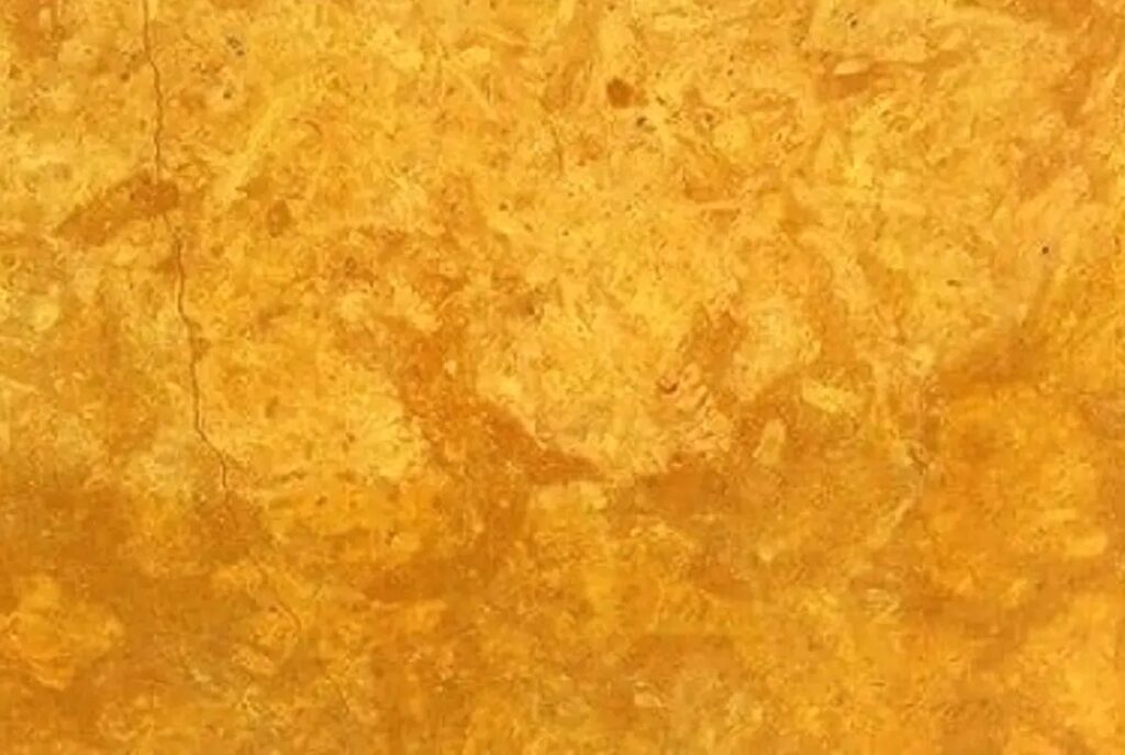 Flowery Gold Sandstone