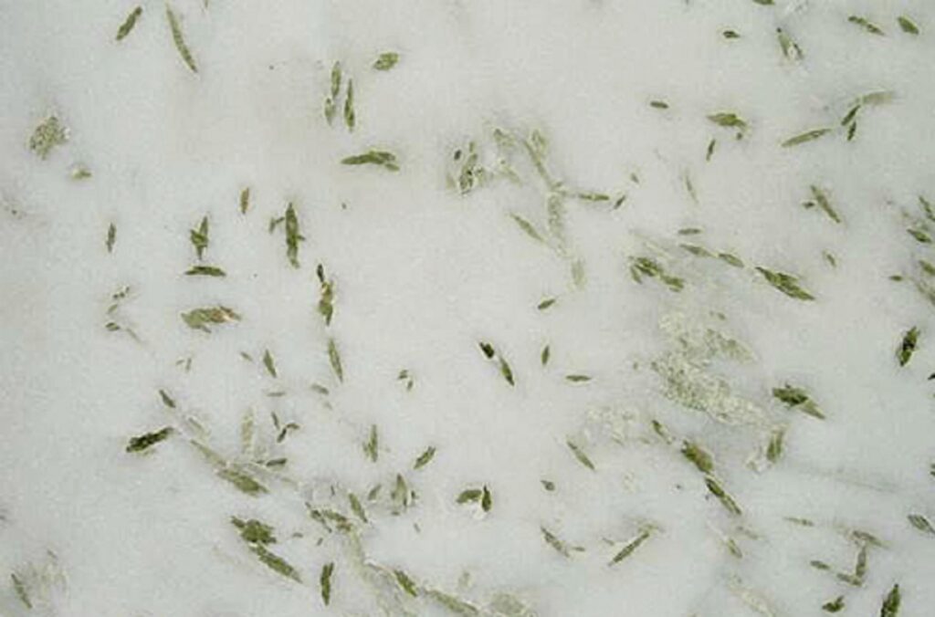 pista-white-marble