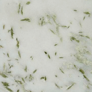 Pista White Marble