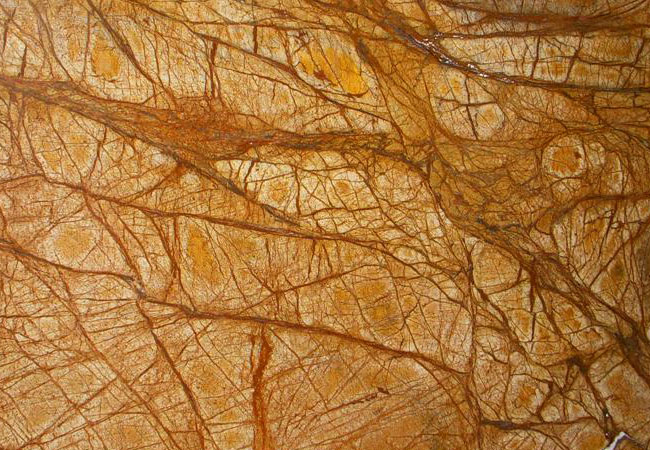 rainforest-golden-marble